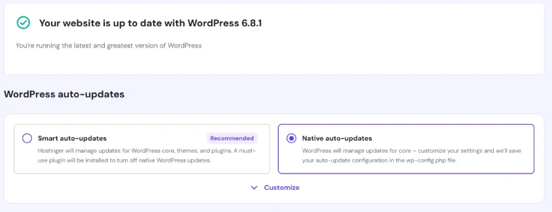 Wordpress Auto Updates