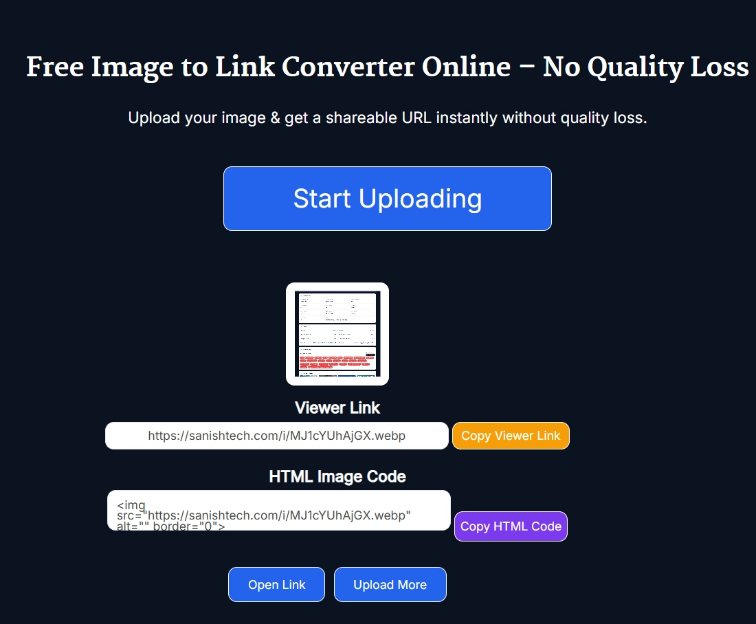 Viewer link and HTML image code generated by the converter