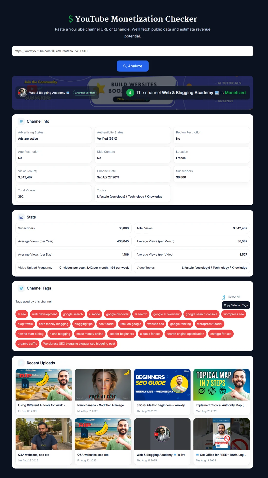YouTube Monetization Checker tool showing channel stats and monetization status